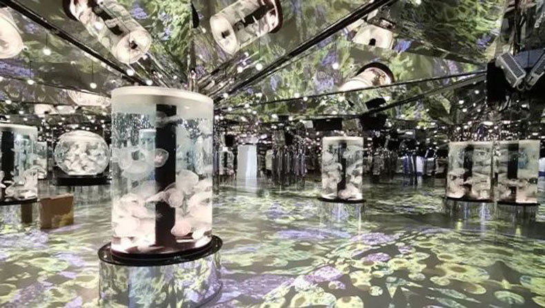 臺(tái)灣 Xpark 水族館，全方位沉浸式暢快游樂體驗(yàn)